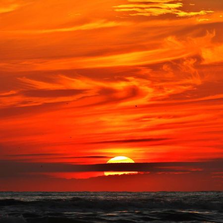 Ferienhaus Geniessen Am Meer Mit Wellnesszugang 海边的艾格蒙特 外观 照片