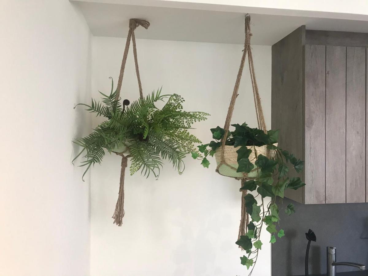 Ferienhaus Geniessen Am Meer Mit Wellnesszugang 海边的艾格蒙特 外观 照片